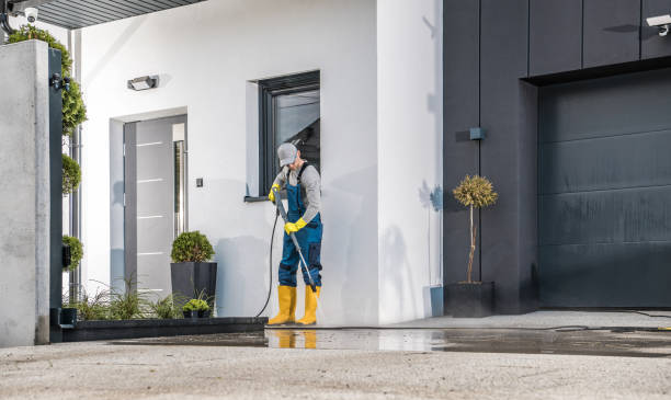 Best Graffiti Removal  in Fort Myers Shores, FL